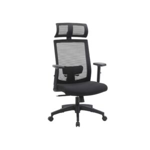Ergonomiška kompiuterio kėdė