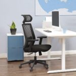 Ergonomiška kompiuterio kėdė