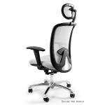 Profesionali Ergonominė Biuro kėdė | EXPANDER