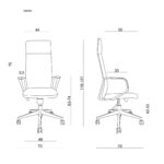 Profesionali Ergonominė Biuro kėdė | MARK – NATURAL LEATHER